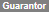 Guarantor-greyed-out.png